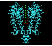 Membrane Potential Assay Fluorescent Dyes (Syn: Voltage sensitive dyes, DiSBAC1(3), DisBAC2(3), DiBAC1(3)) | FIVEphoton Biochemicals |  Disbac1-4